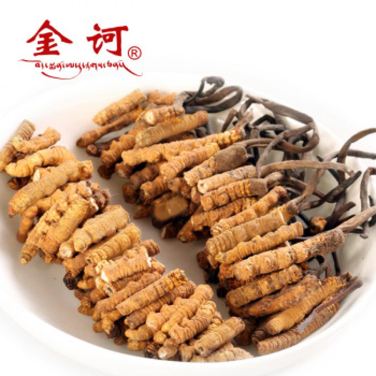 金诃冬虫夏草断草 断草 野生虫草断草5g