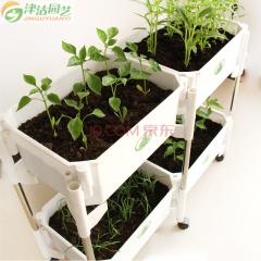 津沽园艺 园艺用品 多层种植箱 多种组合 家庭阳台室内菜园用 送椰砖种子发酵鸡粪肥 C组种植箱