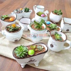津沽园艺 多肉植物迷你小花盆 仿搪瓷复古做旧风陶瓷绿植盆栽花盆有底孔 12种造型自选 大肚圆钵型2个